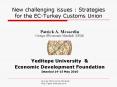 New challenging issues : Strategies for the EC-Turkey Customs Union PowerPoint PPT Presentation