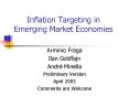 Inflation Targeting in Emerging Market Economies PowerPoint PPT Presentation