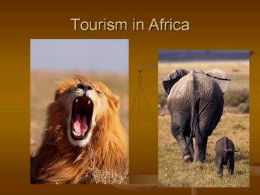 Tourism in Africa