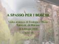 A SPASSO PER I BOSCHI PowerPoint PPT Presentation