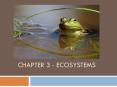 Chapter 3 - Ecosystems PowerPoint PPT Presentation