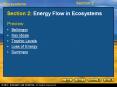 Section 2: Energy Flow in Ecosystems PowerPoint PPT Presentation