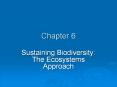Sustaining Biodiversity: The Ecosystems Approach PowerPoint PPT Presentation