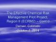 The Effective Chemical Risk Management Pilot Project, Region II (ECRM2)  PowerPoint PPT Presentation