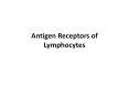 Antigen Receptors of Lymphocytes PowerPoint PPT Presentation