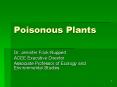 Poisonous Plants PowerPoint PPT Presentation