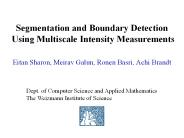 Segmentation and Boundary Detection  Using Multiscale Intensity Measurements