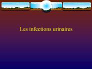 Les infections urinaires