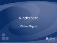 Rinderpest
