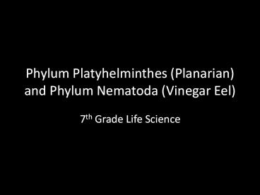 Phylum Platyhelminthes (Planarian) and Phylum Nematoda (Vinegar Eel)