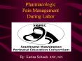 Pharmacologic Pain Management During Labor PowerPoint PPT Presentation