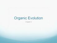 Organic%20Evolution