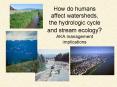 How do humans affect watersheds, the hydrologic cycle and stream ecology? AKA management implications PowerPoint PPT Presentation