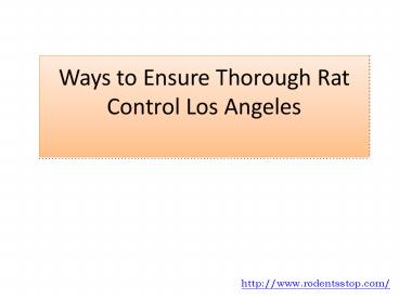 Ways to Ensure Thorough Rat Control Los Angeles
