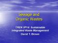 Sewage and Organic Wastes PowerPoint PPT Presentation
