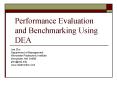 Performance Evaluation and Benchmarking Using DEA PowerPoint PPT Presentation