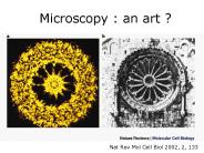 Microscopy : an art ?