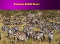 Tanzania Safari Tours PowerPoint PPT Presentation