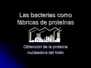 Las bacterias como f