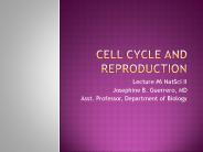 Cell Cycle and Reproduction