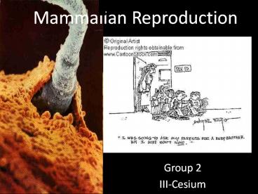 Mammalian Reproduction