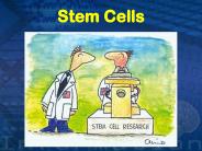 Stem Cells