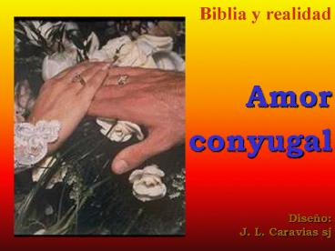Biblia y realidad