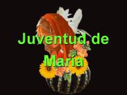 Juventud%20de%20Mar
