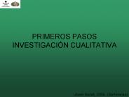 PRIMEROS PASOS INVESTIGACI