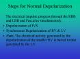 Steps for Normal Depolarization PowerPoint PPT Presentation