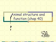 Animal structure and function (chap 40)