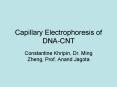 Capillary Electrophoresis of DNA-CNT PowerPoint PPT Presentation