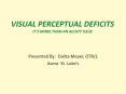 Visual Perceptual Deficits It PowerPoint PPT Presentation