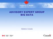 Advisory Expert Group Big Data