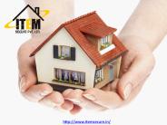 Termite Prevention in Gujarat