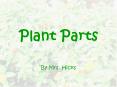 Plant%20Parts PowerPoint PPT Presentation