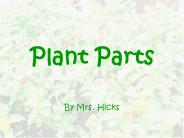 Plant%20Parts