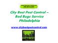 Mice Control Philadelphia - www.citybestpestcontrol.com PowerPoint PPT Presentation