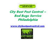 Mice Control Philadelphia - www.citybestpestcontrol.com