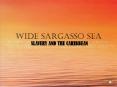 Wide Sargasso Sea PowerPoint PPT Presentation