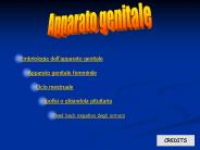 Diapositiva 1