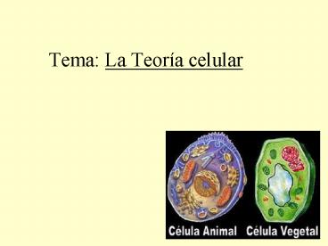 Tema: La Teor