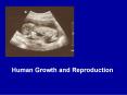 Human Growth and Reproduction PowerPoint PPT Presentation