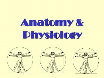 Anatomy presentation | free to view
