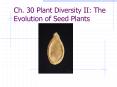 Ch. 30 Plant Diversity II: The Evolution of Seed Plants PowerPoint PPT Presentation