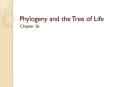 Phylogeny and the Tree of Life PowerPoint PPT Presentation
