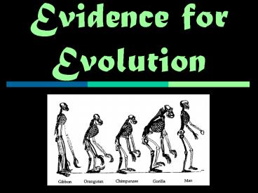 Evidence for Evolution