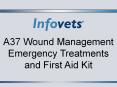 A37 Wound Management Emergency Treatments and First Aid Kit PowerPoint PPT Presentation