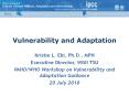 Vulnerability and Adaptation PowerPoint PPT Presentation