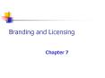 Branding and Licensing PowerPoint PPT Presentation